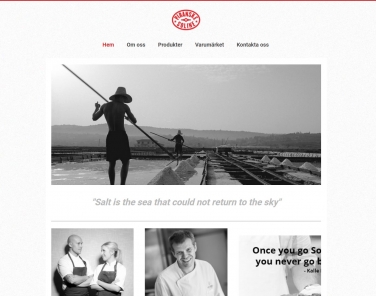 simplysalt-webbproduktion